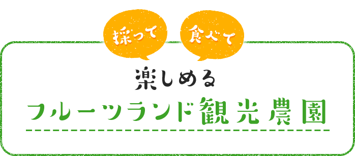 採って 食べて 楽しめる フルーツランド 観光農園