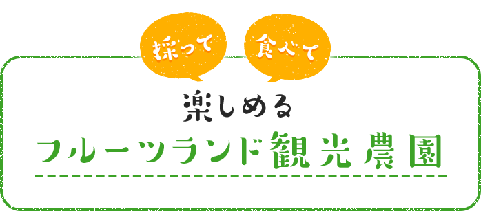 採って 食べて 楽しめる フルーツランド 観光農園