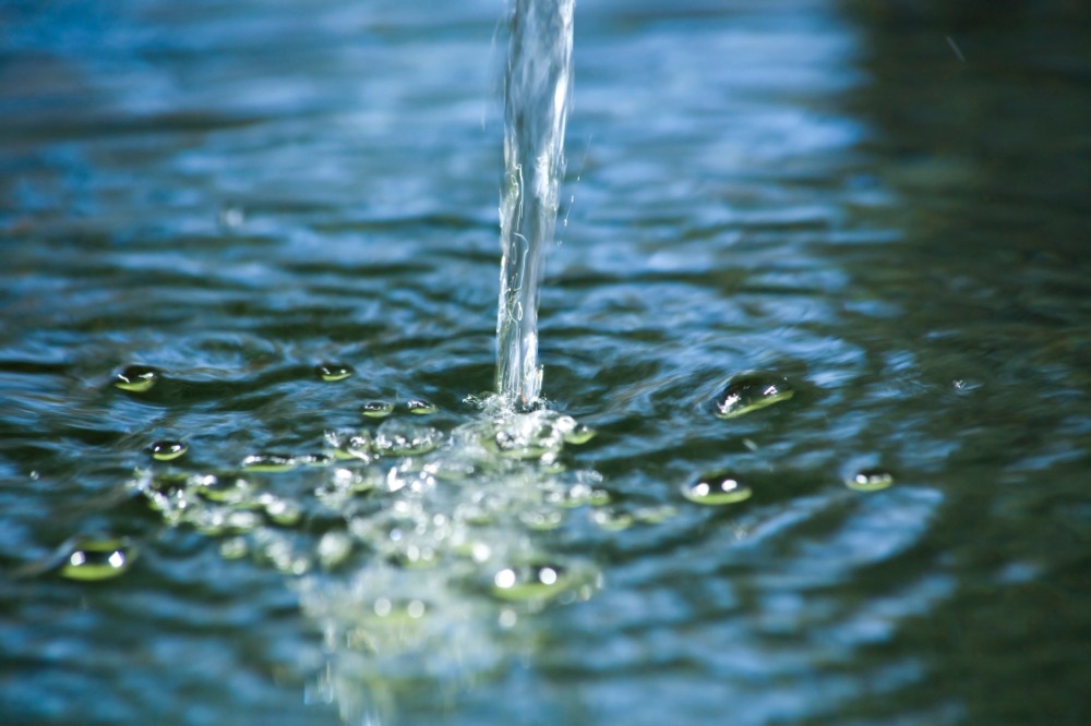 山からの湧水で栽培